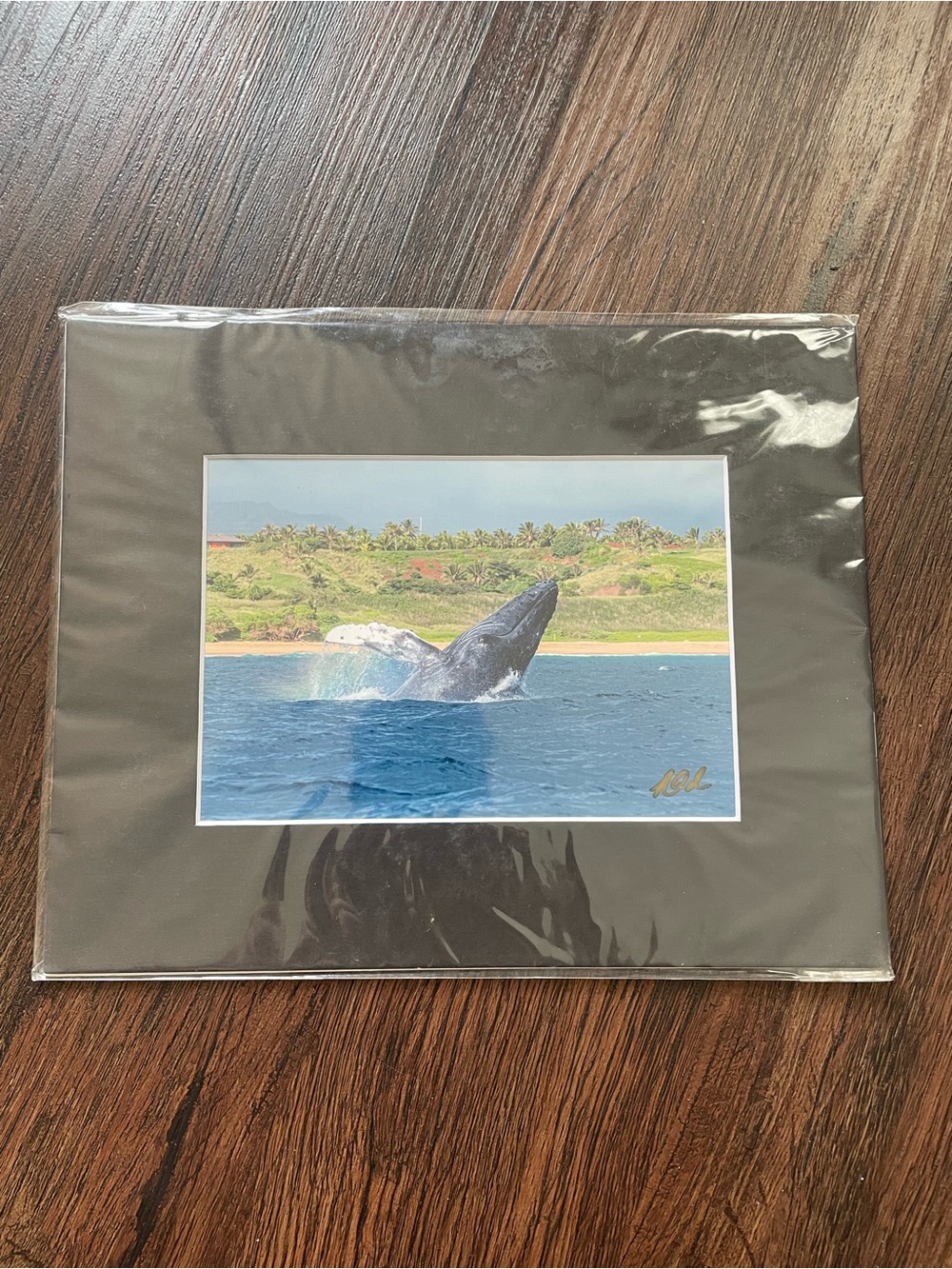 FINE ART PHOTOGRAPHY Kauai Hawaii KERRY ODA Signed NEW 10x8” Whale Ocean